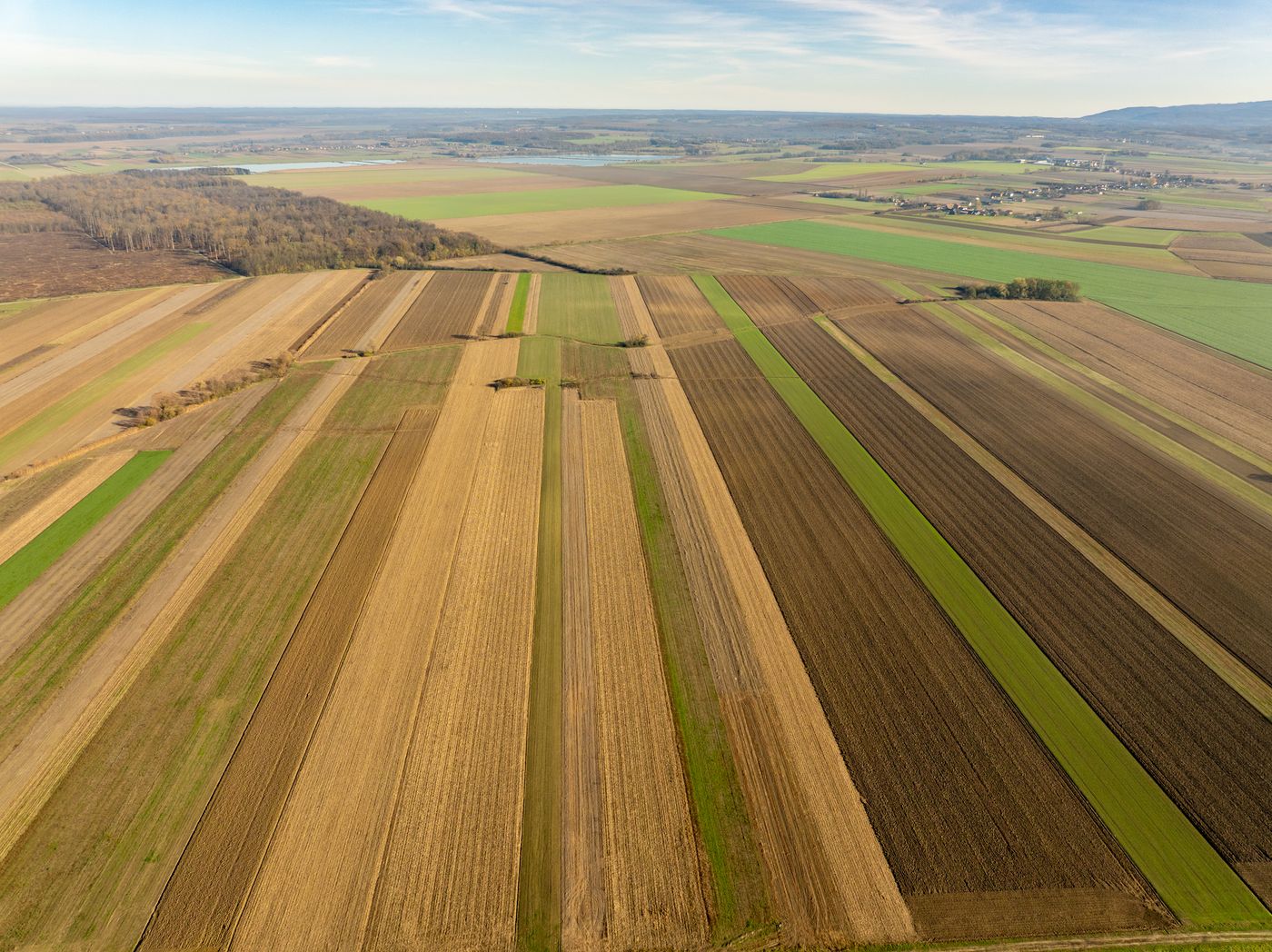 Land and yield, not futures charts
