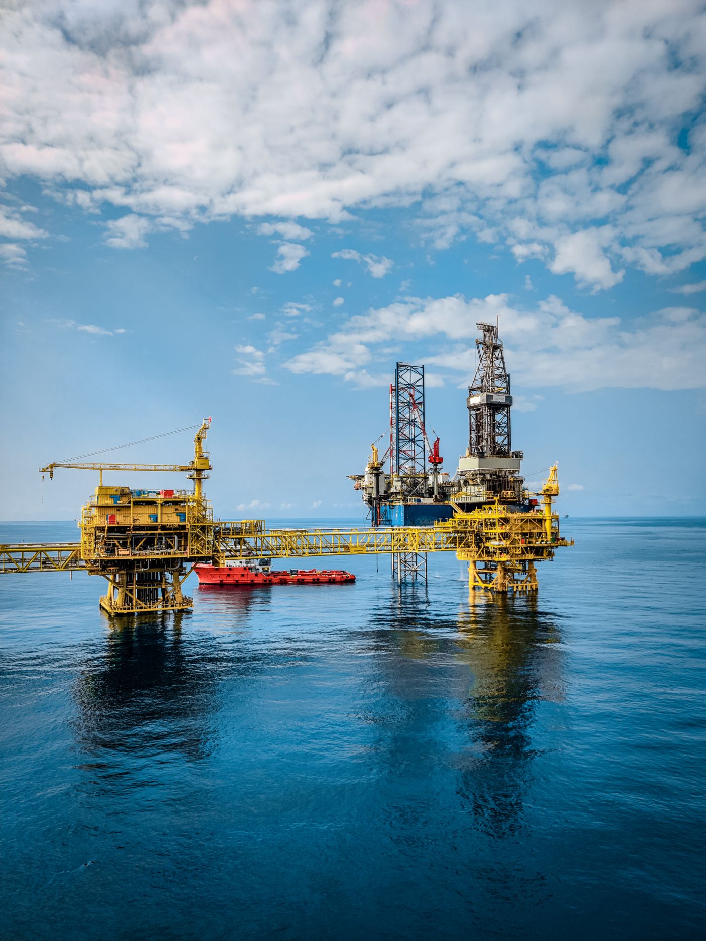 Diversified along the chain